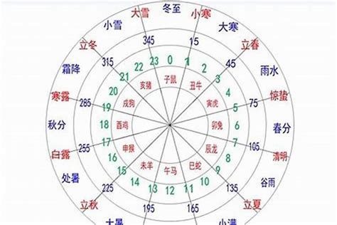 11月五行|生辰八字查询，生辰八字五行查询，五行属性查询